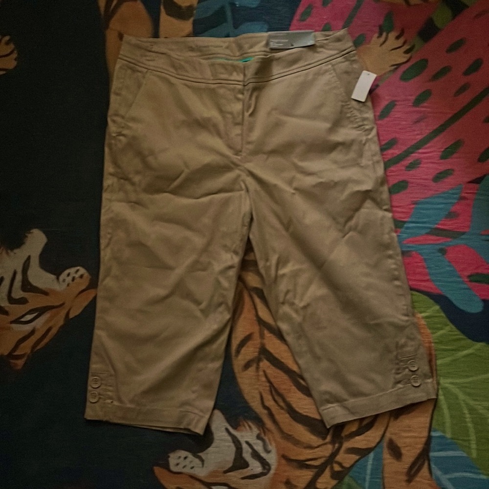 New Never Worn Capri Pants